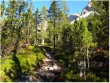 Rifugio Pederü - Lago di Limo